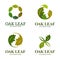 Oak leaf vector logo set. Logo template.