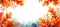 Oak Leaves Autumn\\\'s Embrace Majestic in a Tranquil Forest Setting, Generative Ai