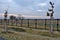 Oak log fencing with barrier free access for seniors and immobile. safari zoo with a large paddock. heavily guarded border with to