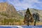 Oak and Pine, Yosemite National Park