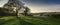 Oak tree in Chiltern Landscape