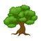 Oak Tree with Exuberant Green Foliage and Trunk Vector Illustration