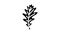 oak tree leaf glyph icon animation