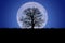 Oak tree silhouette on super moon background