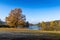 Oak tree spread its branches over the lake on a sunny autumn morning. Czech Republic