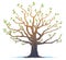 Oak tree in spring isolated illustration