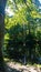 Oak tree with a swing and Elde river in background