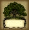 Oak tree wih a banner