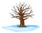 Oak tree in winter isolated illustration