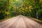 Oak trees along the dirt road to Botany Bay Plantation on Edisto Island, South Carolina.