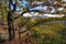 Oak trees on the brink of Plancheskiye Rocks at sunset. Scenic sunny blue sky golden autumn landscape of Caucasus Mountain forest