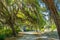 Oak Trees covered in Spanish Moss shade the graves in the Bonaventure Cemetery in Savannah Georgia