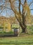 Oak wine barrel sitting in a meadow