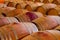 Oak wine barrels in a winery celar