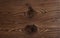 oak wood sheet texture, smooth, solid and plain 8K resolution