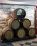 Oak wooden barrel for wine in a cut, Massandra the wine factory museum,