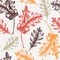 Oaktree seamless pattern Decorative autumn leaf sketches. Hand-drawn botanical backdrop in sketched style. Vintage oak tree branch