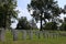 Oakwood Cemetery Confederate Dead from Gettysburg