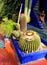 Oasis of art and landscaping at Majorelle Gardens