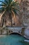 oasis in the Atlas mountains, stone bridge, palm tree, water