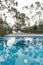 Oasis of an Australian backyard swimming pool surrounded by native gum trees