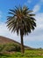 The oasis Barranca of Ajui on Fuerteventura