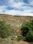 The oasis Barranca de la Madre of Ajui on Fuerteventura