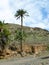 The oasis Barranca de la Madre of Ajui on Fuerteventura