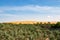 Oasis with Date palms in Biiddiyya at entrence to wahiba sands to camp in Oman