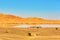 Oasis lake in Sahara desert, Merzouga, Africa