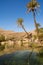 Oasis and lake wadi in the desert with tourists