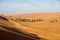 Oasis in Libyan desert