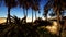 Oasis at the moroccan desert dunes