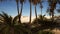 Oasis at the moroccan desert dunes