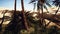 Oasis at the moroccan desert dunes