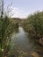 Oasis in the moroccan Sahara