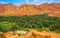 Oasis in Morocco, near gorges of Todra