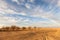 Oasis in the Negev desert, Israel