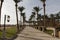 An oasis of palm trees and greenery photo. Embankment along the beach in Makadi, Egypt