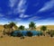 Oasis in the sandy desert