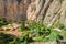 Oasis Sangalle at the bottom of Colca canyon
