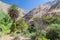Oasis Sangalle in Colca canyon, Peru