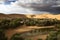 oasis, surrounded by towering dunes and dramatic sky