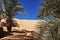 The oasis in Timimun abandoned city in Sahara desert, Algeria, Africa