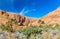 Oasis of the Todra River at Tinghir, Morocco