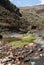 The oasis Wadi Daerhu on the island of Socotra