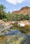 The oasis Wadi Daerhu on the island of Socotra