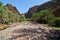 The oasis Wadi Daerhu on the island of Socotra Yemen