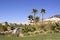 Oasis with waterfall and palm trees