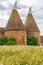 Oast Houses in the county of Kent